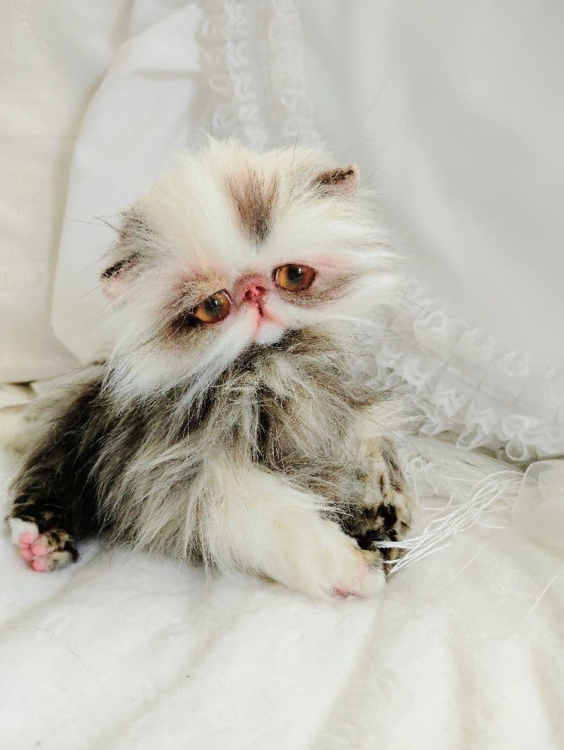 生後１か月♡可愛い毛の子猫ちゃん♡アートドール♡ぬいぐるみ♡