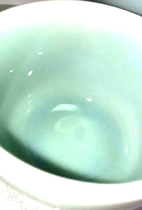 鍋島　長春青磁　湯呑み3個セット