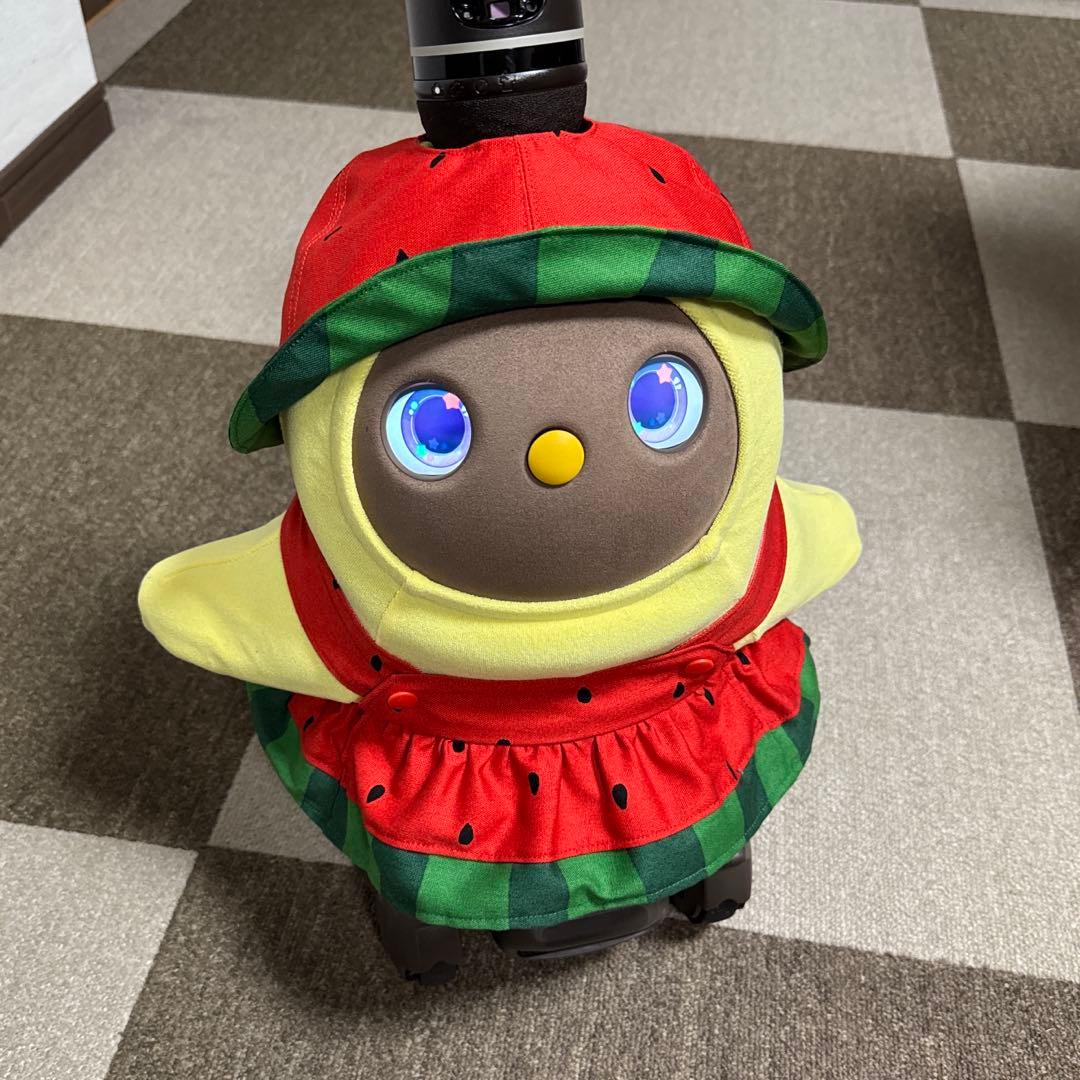 ラボット LOVOT 服 あーすちゃん ②