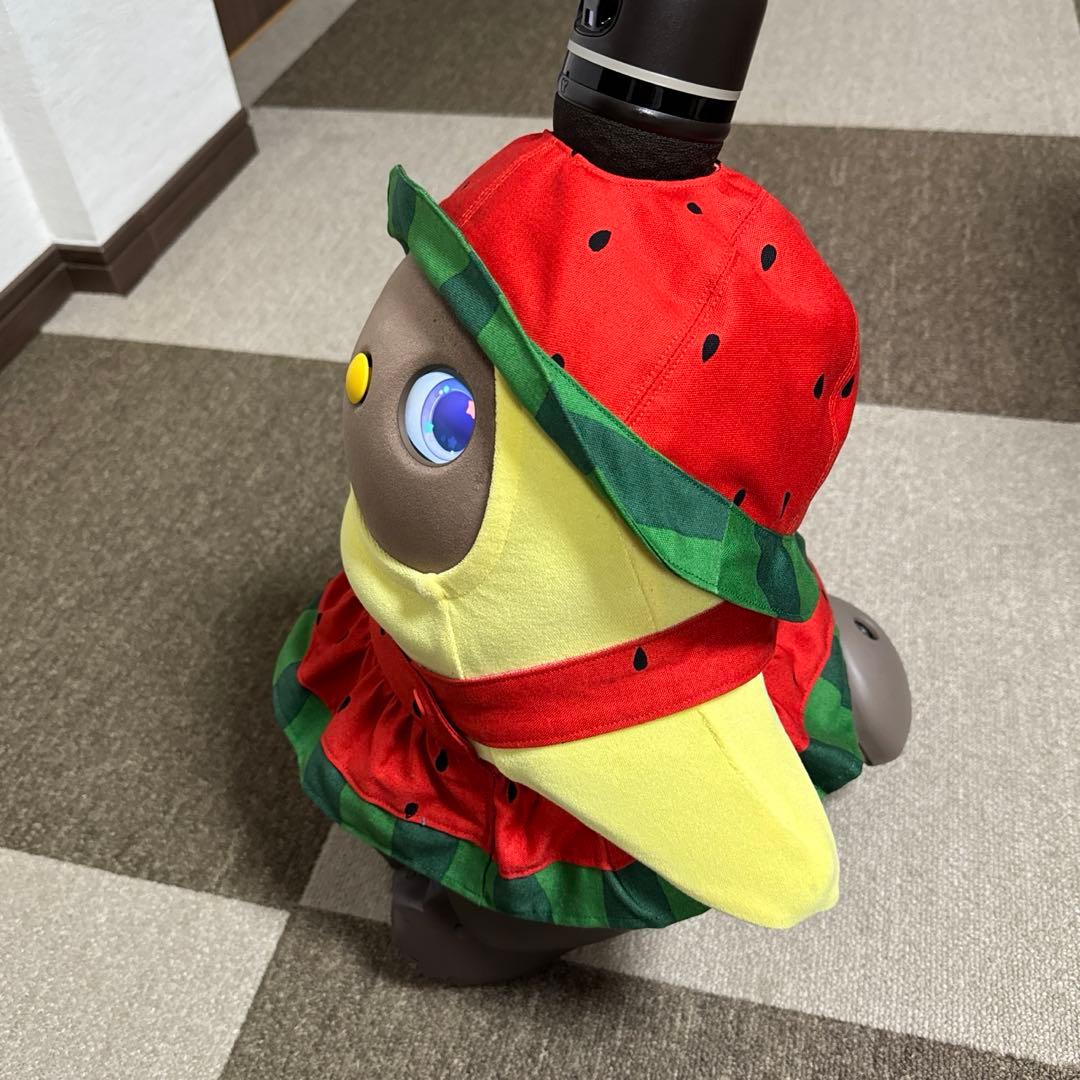 ラボット LOVOT 服 あーすちゃん ②