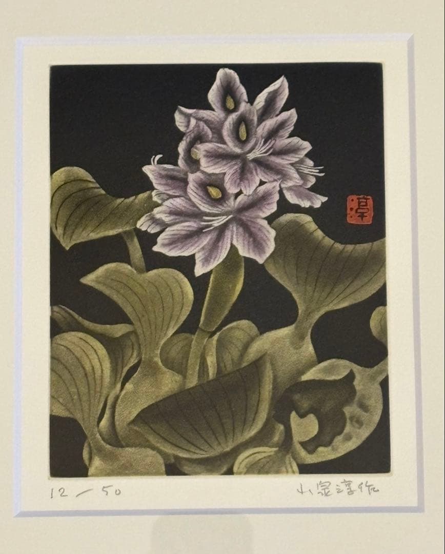 小泉淳作　『布袋草の花』　日経カルチャー制作　12/50