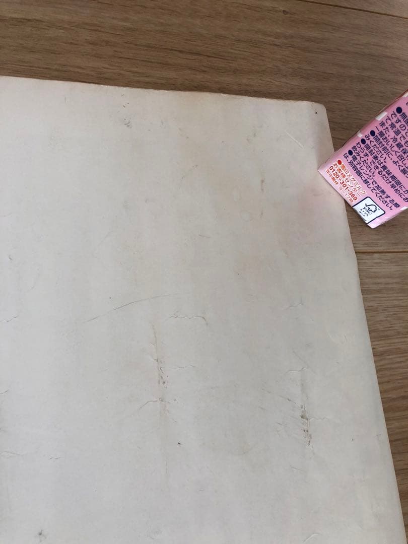 ⑩ブルーハーツ ポスター B2サイズ