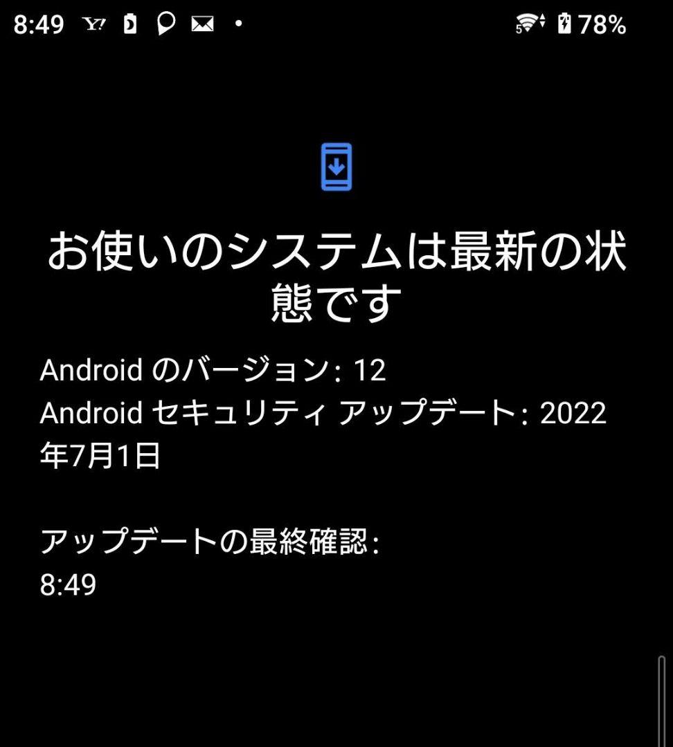 SONY Xperia 10II SO-41A 青 SIMフリー