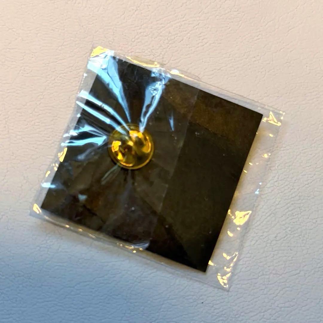 【希少】2001年　ポケモンセンター公式非売品ピンバッジ　21century