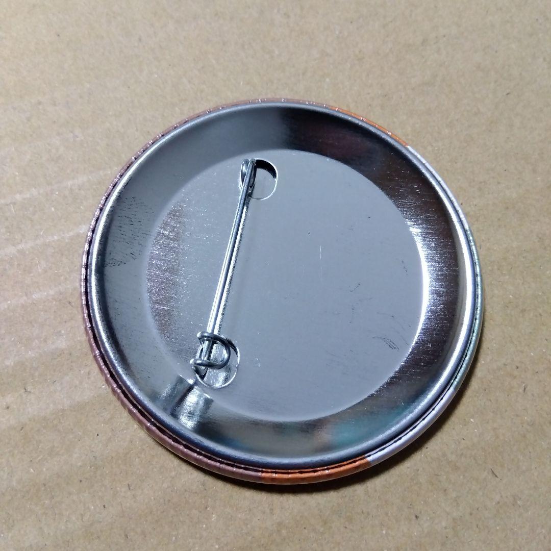 【REBORN!】沢田綱吉 ツナ たまっぷ 缶バッジコレクション リボーン