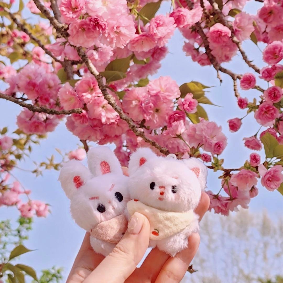 ジミン ジョングク マスター マスタニム ぬいぐるみ ヨンモリ キーホルダー