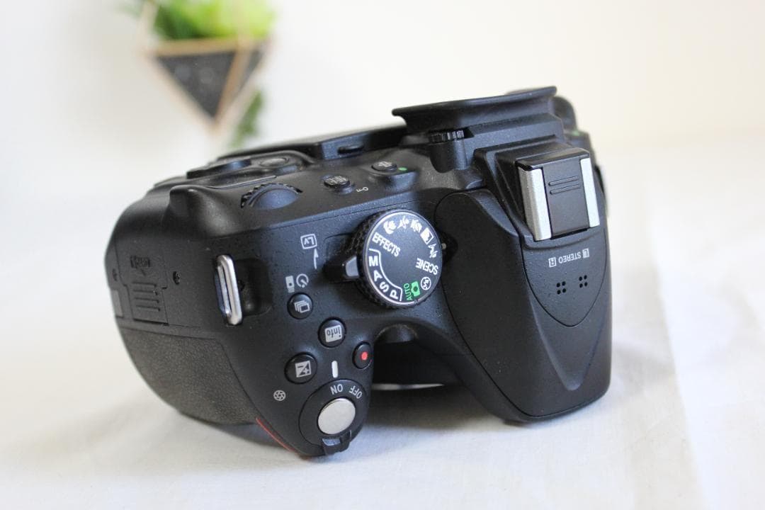 Nikon D5200 標準ズームセット