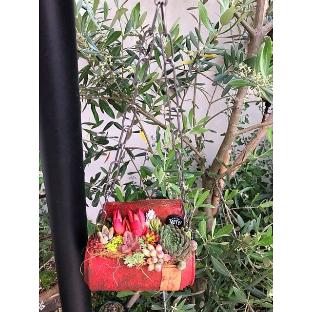 ★多肉植物　寄せ植え〜リメ缶寄せ〜★