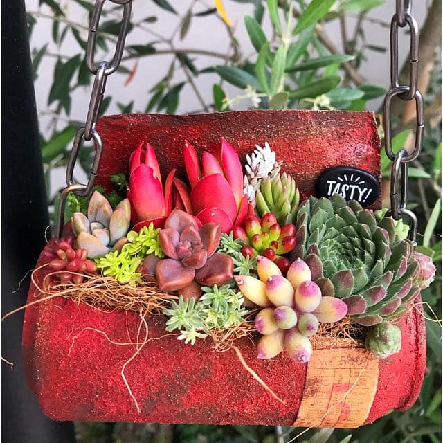 ★多肉植物　寄せ植え〜リメ缶寄せ〜★