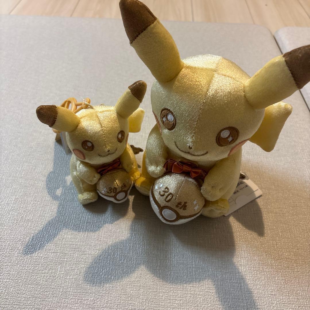 30周年記念 ピカピカ！ピカチュウ マスコット&ぬいぐるみ2点セット
