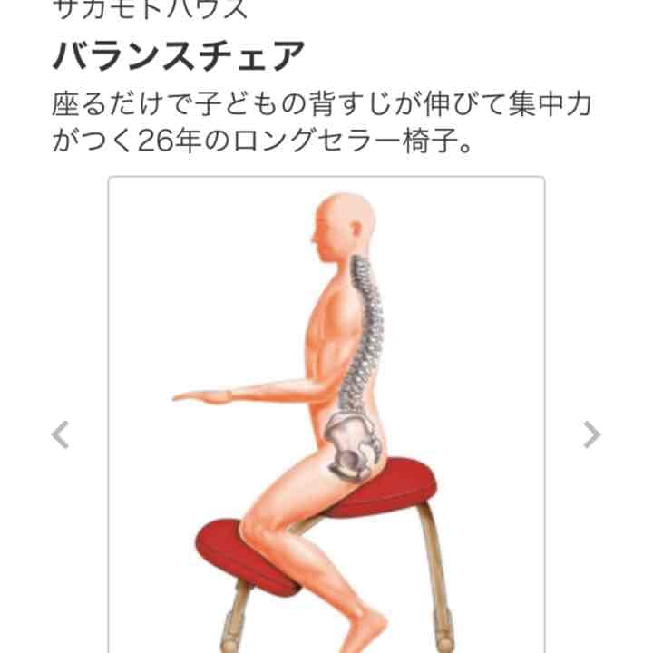 バランスチェア 2脚セット 通販生活