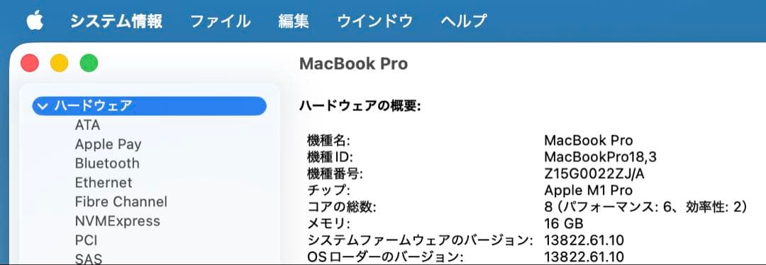 【極美品/放電29回】MacBookPro 14 M1 Pro 16GB 1TB