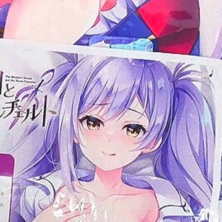 未開封 正規品 梨理 抱き枕カバー