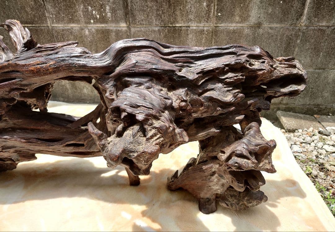 天然木根瘤 自然造形花器 置物 鑑賞木 瘤木 木のオブジェ 根木台 飾台 木目