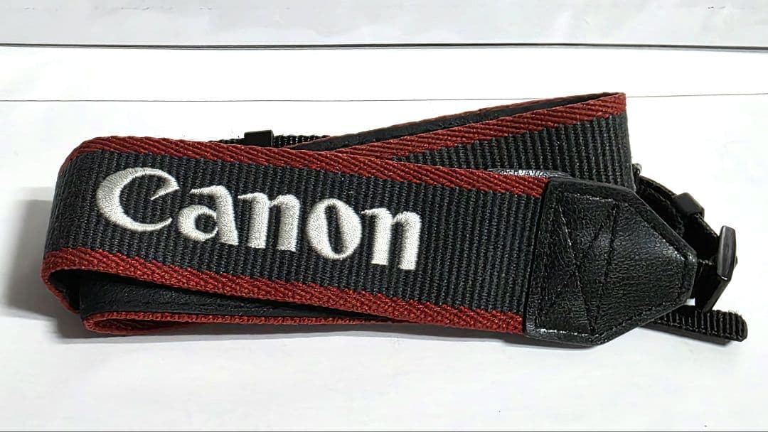 キャノン Canon EOS 40D おまけ付き（CFカード、バッテリーパック）