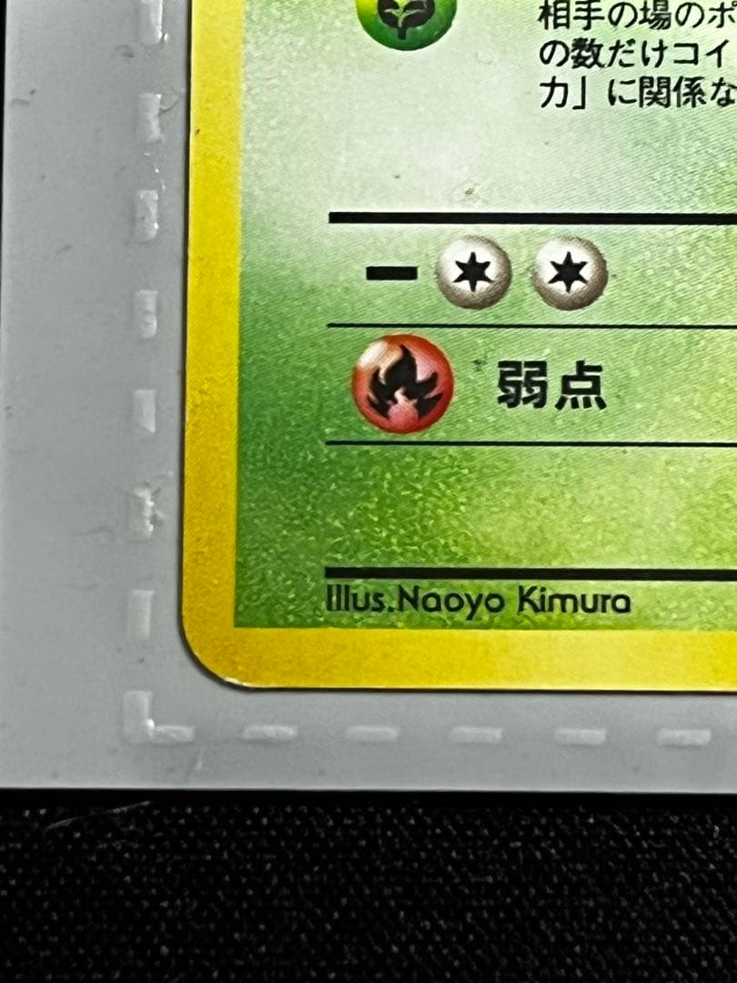 【旧裏】サザンアイランド　トロピカルアイランド〜ジャングル〜　ポケモンカード