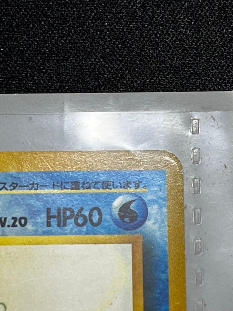 【旧裏】サザンアイランド　トロピカルアイランド〜ジャングル〜　ポケモンカード