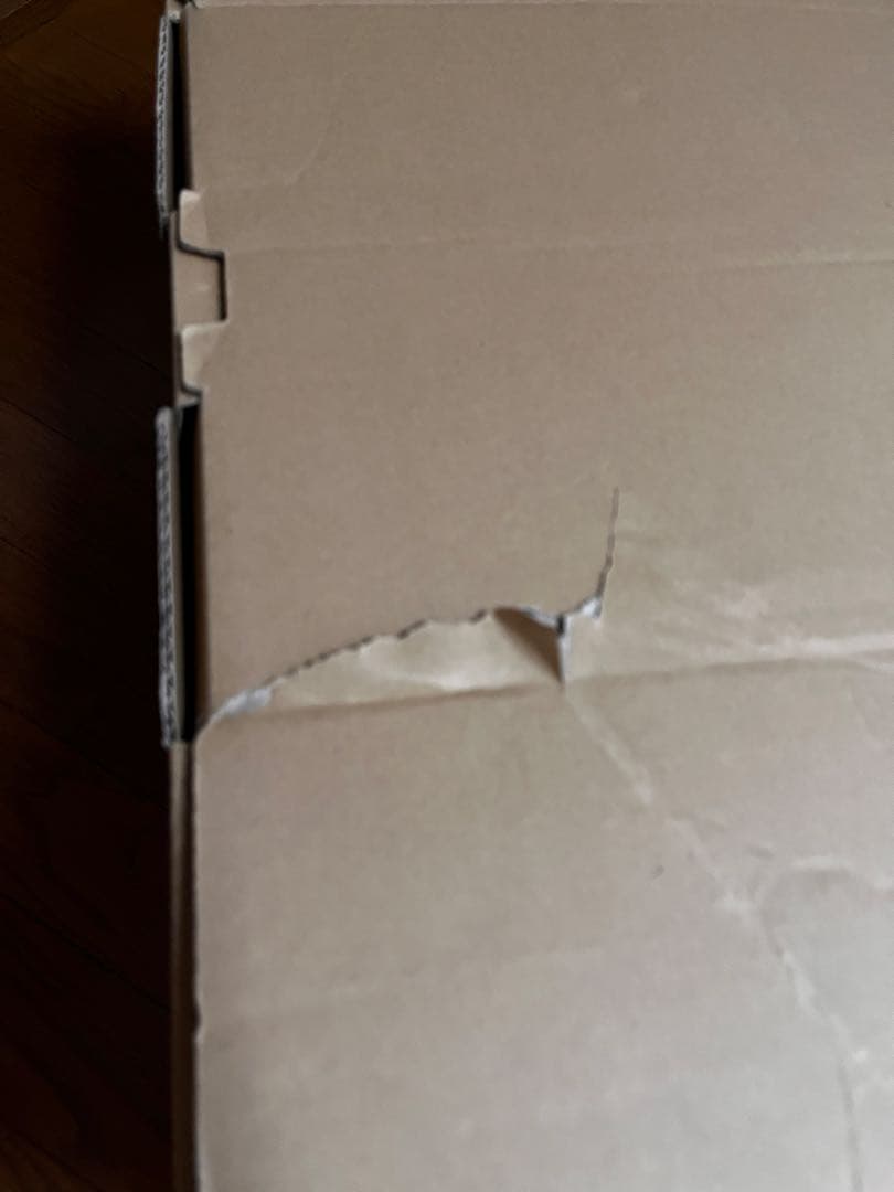 SONY ソニー aibo ERS-1000 キャメル