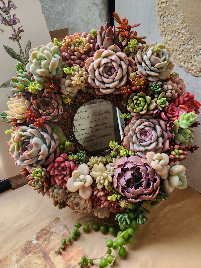 多肉植物寄せ植え