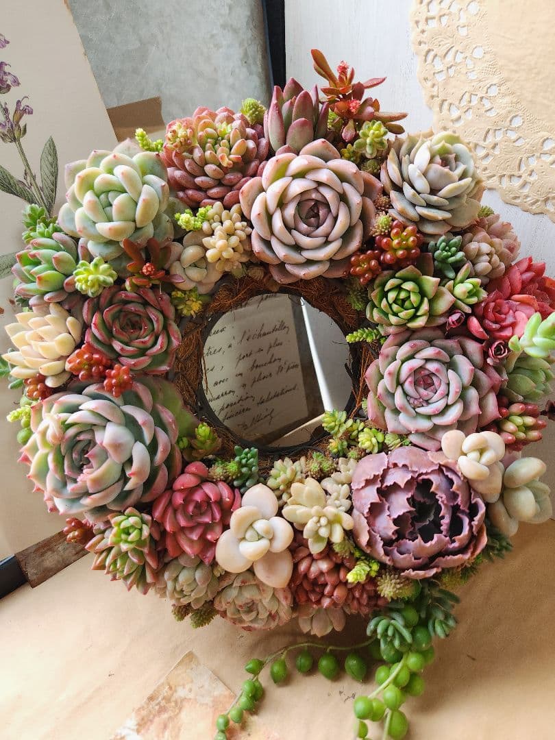 多肉植物寄せ植え