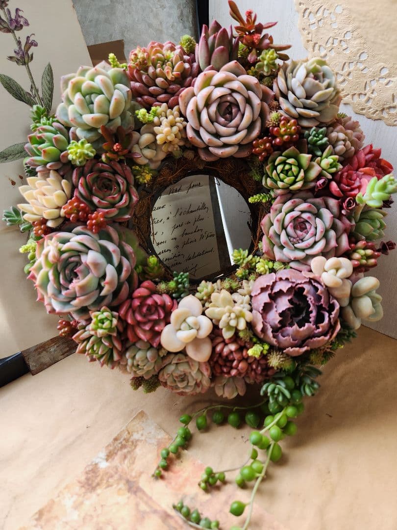 多肉植物寄せ植え