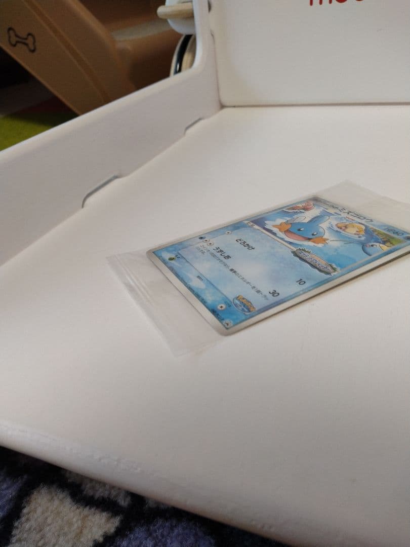 ポケパークのミズゴロウ　048/ PCG-P 未開封