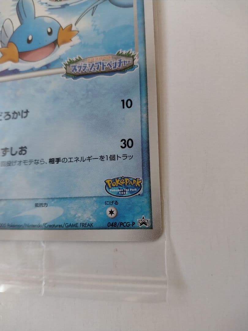 ポケパークのミズゴロウ　048/ PCG-P 未開封