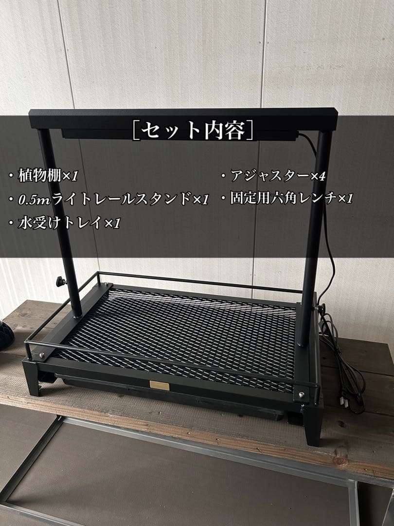 ケン