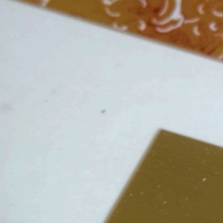 マギ　金のシンドバッド　複製原画