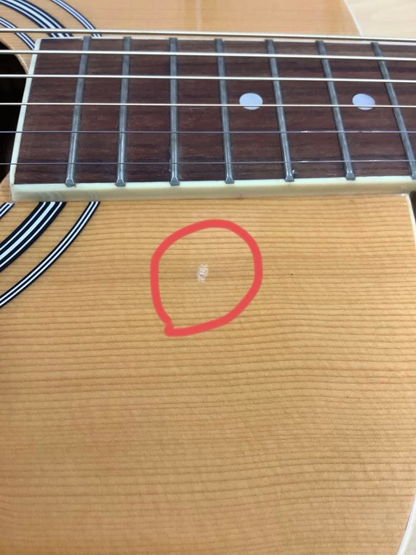 HONEY BEE アコースティックギター F-15N