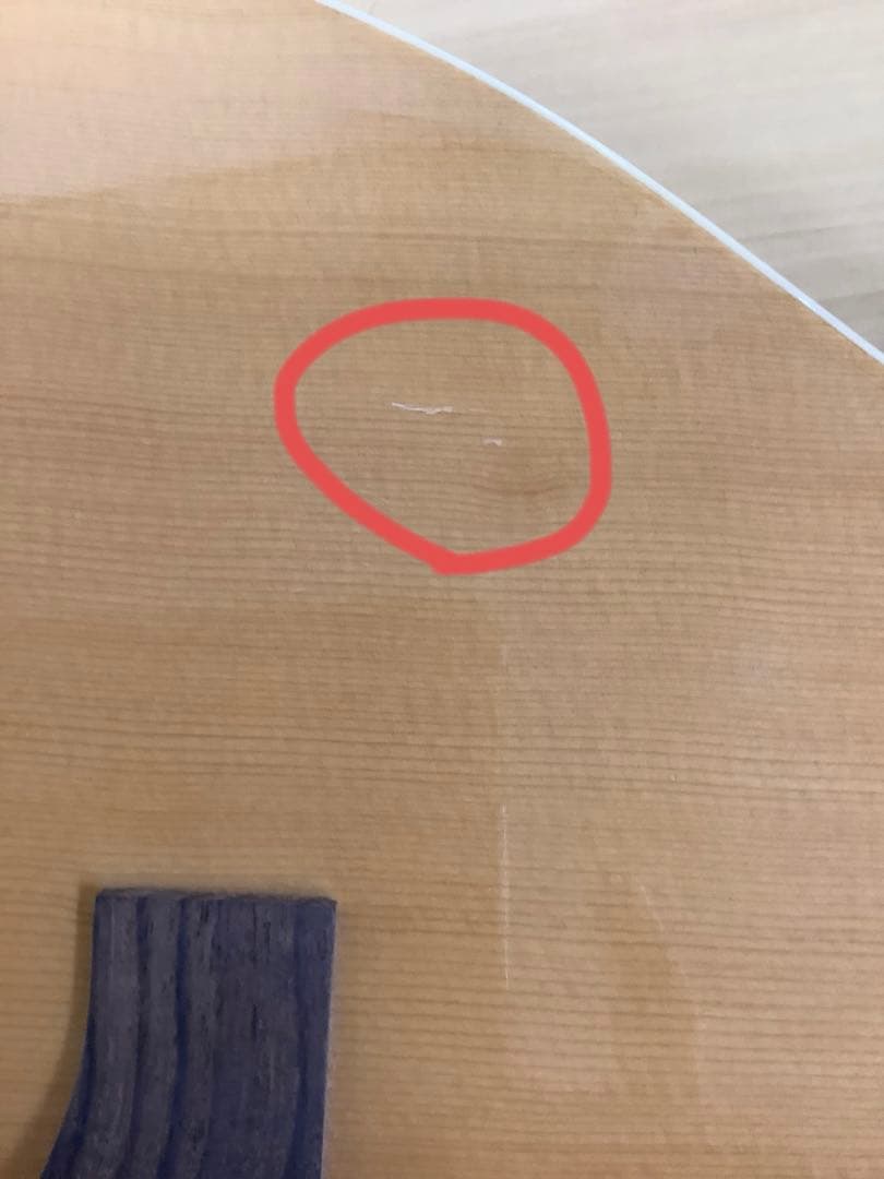 HONEY BEE アコースティックギター F-15N