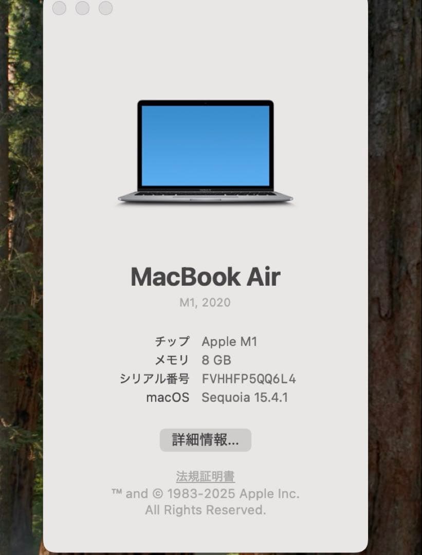 (バッテリー99%)M1 MacBookAir13インチスペースグレー256GB
