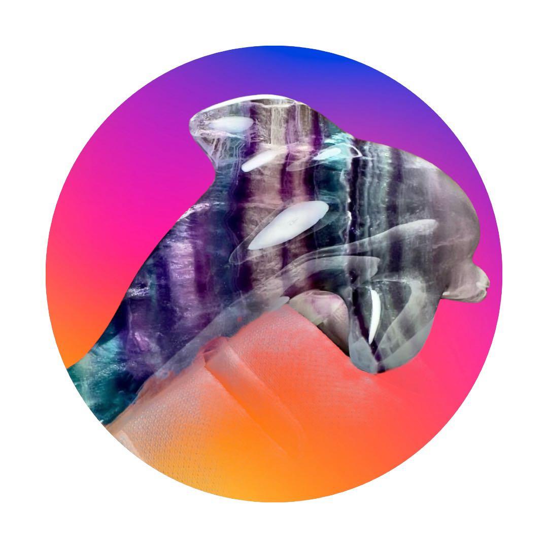 新品 フローライト ドルフィン イルカ バイカラー インテリア 置き物 蛍石