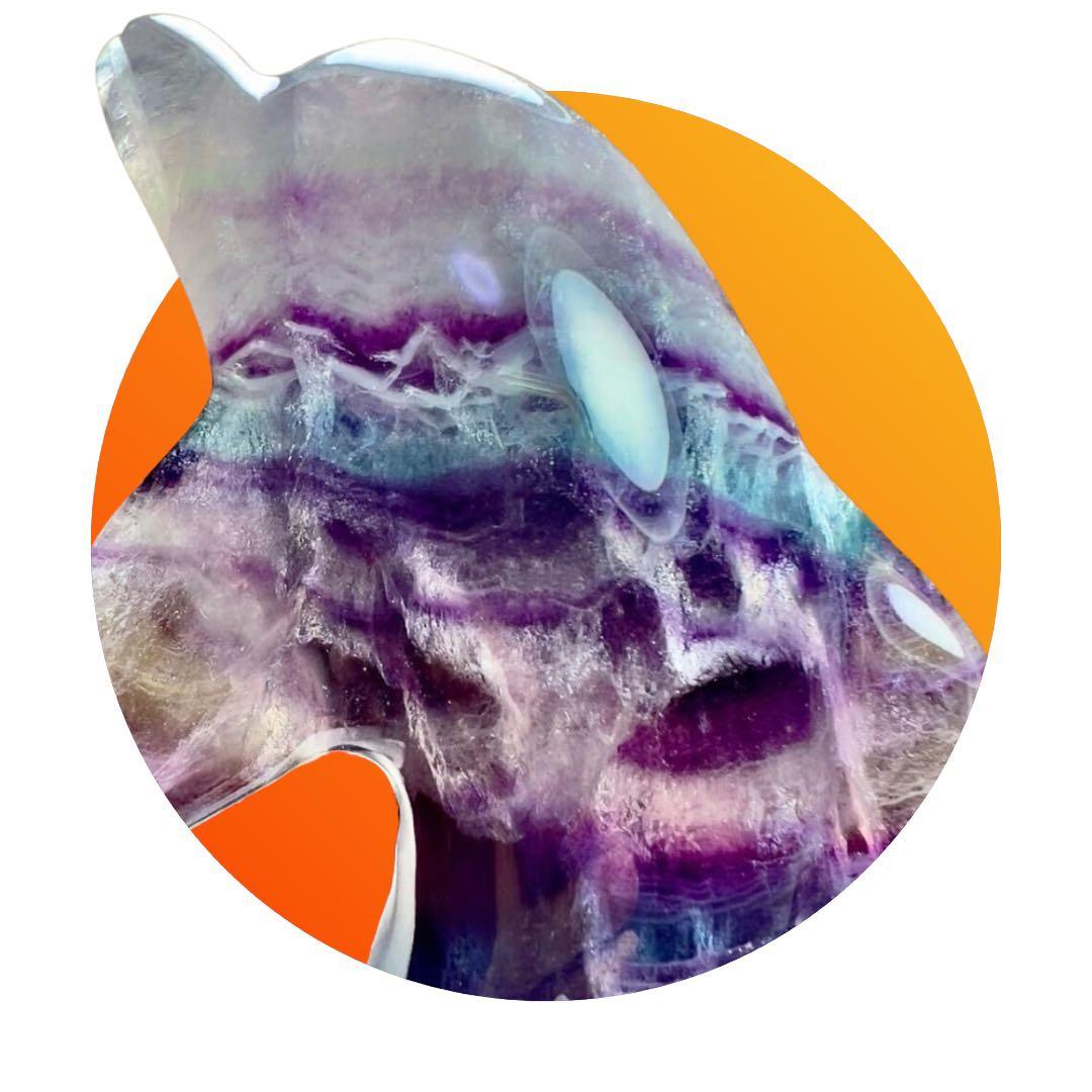 新品 フローライト ドルフィン イルカ バイカラー インテリア 置き物 蛍石