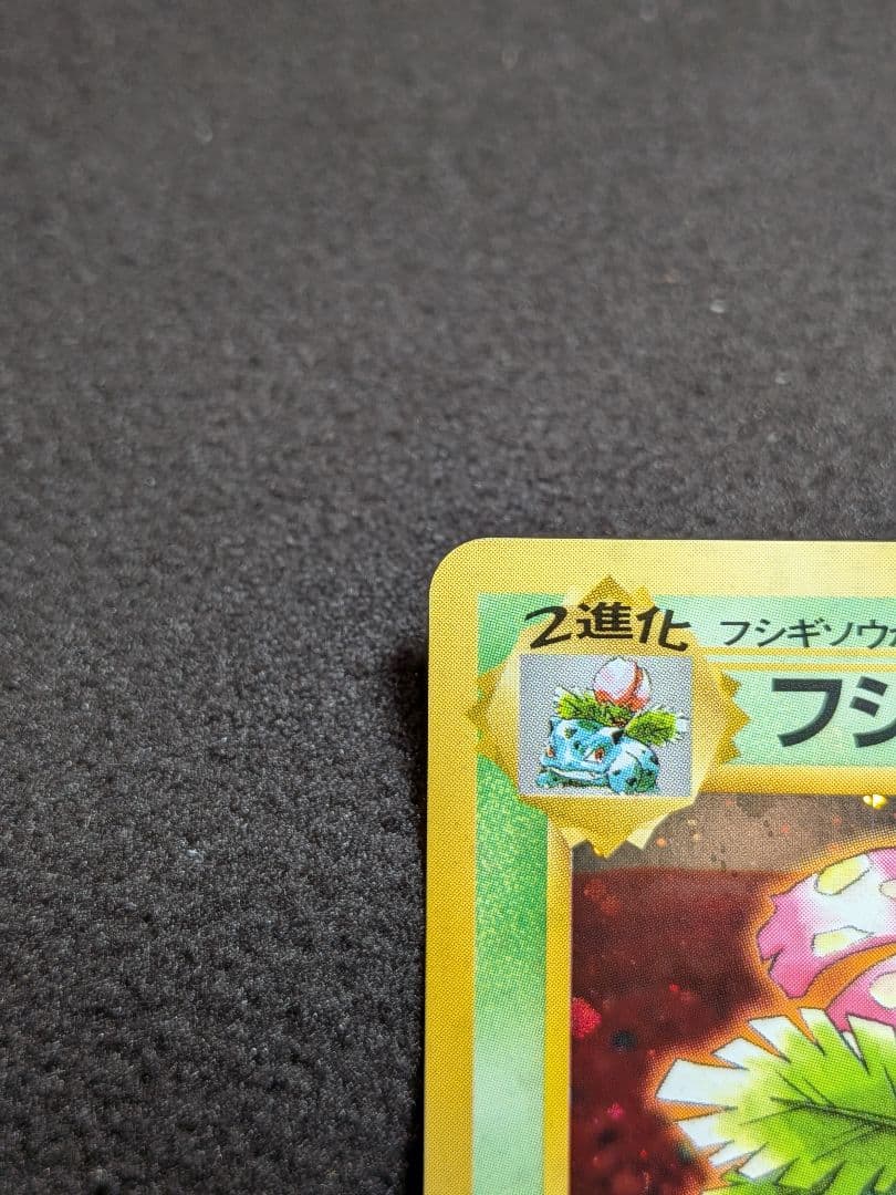 旧裏　フシギバナ　プロモ