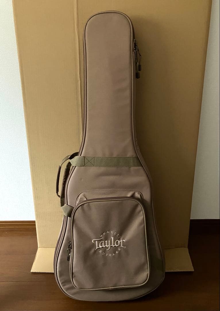 Taylor 114e テイラーギター