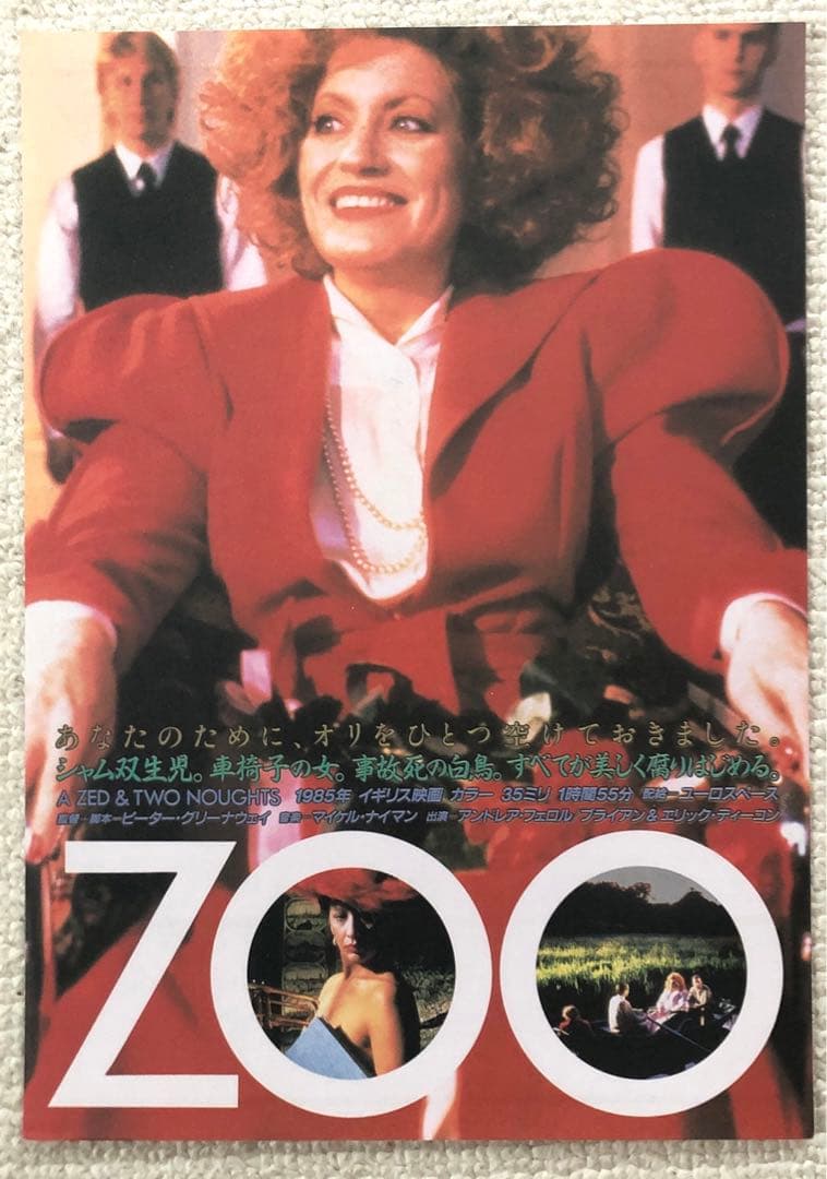 お値下げと追加　ピーターグリーナウェイ　監督作品チラシセット　映画フライヤー