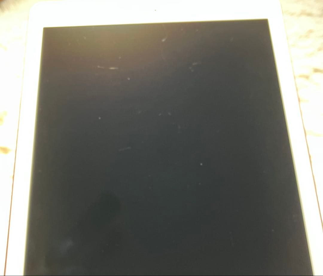 【完動品】iPad Pro 9.7 32GB SIMフリー 【即発送】【付属品】