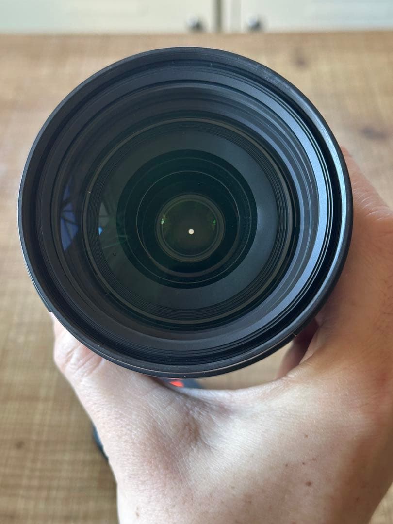 SIGMA 24-70mm F2.8 DG DN Art Sony用 Eマウント