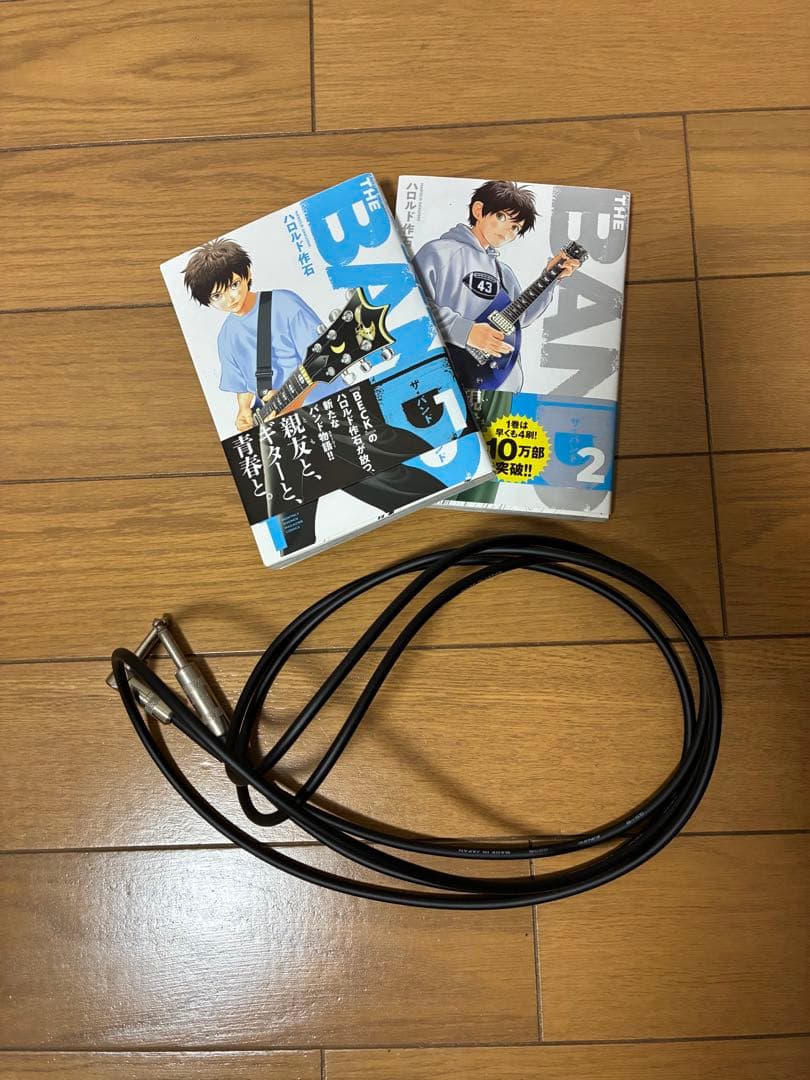 おまけ追加、最後の写真のまんがYAMAHA パシフィカ611 HFM