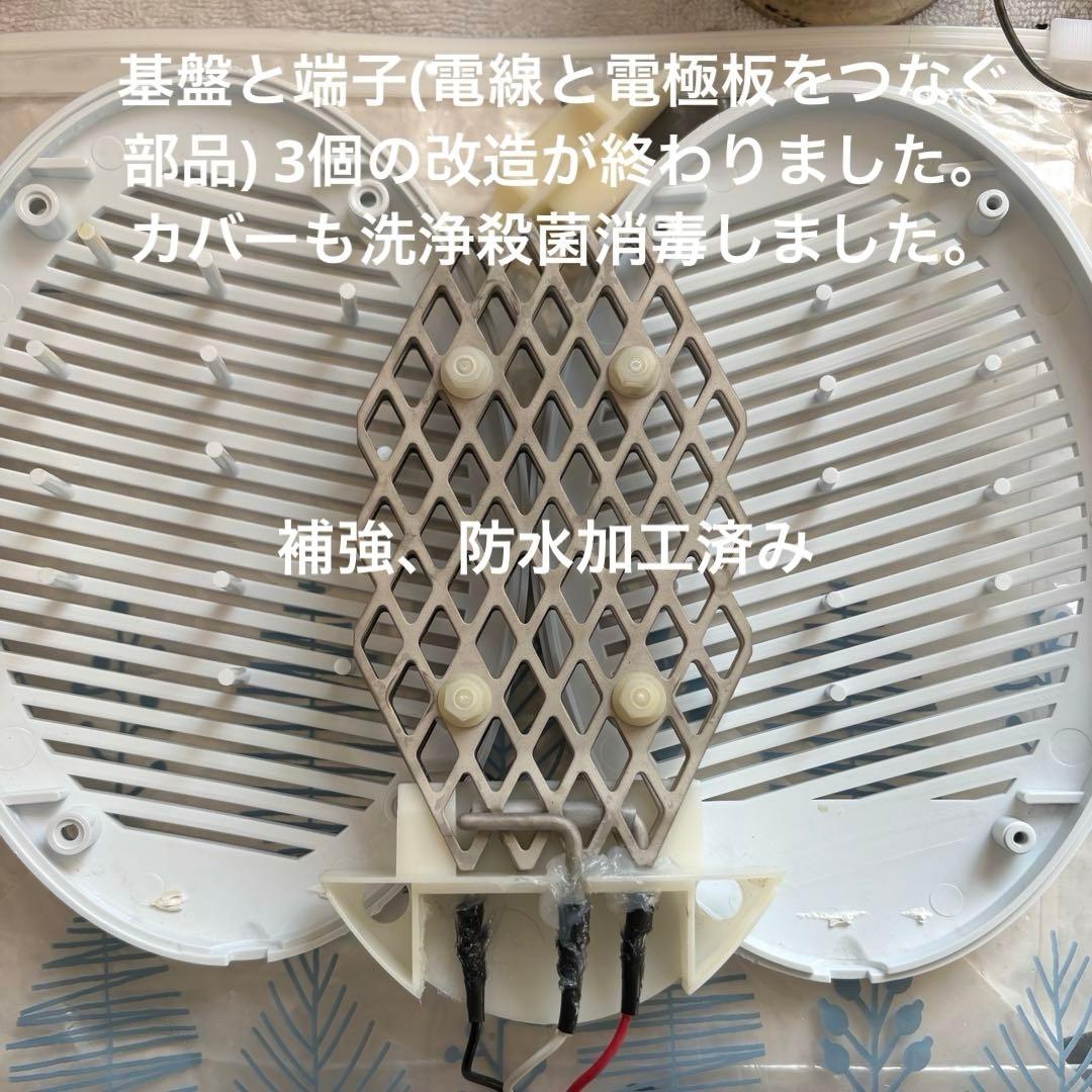 taSHA品
