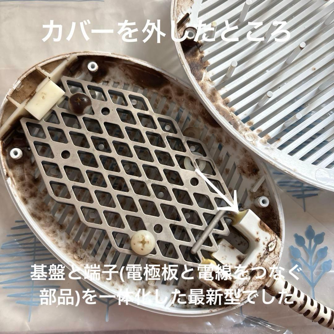 taSHA品