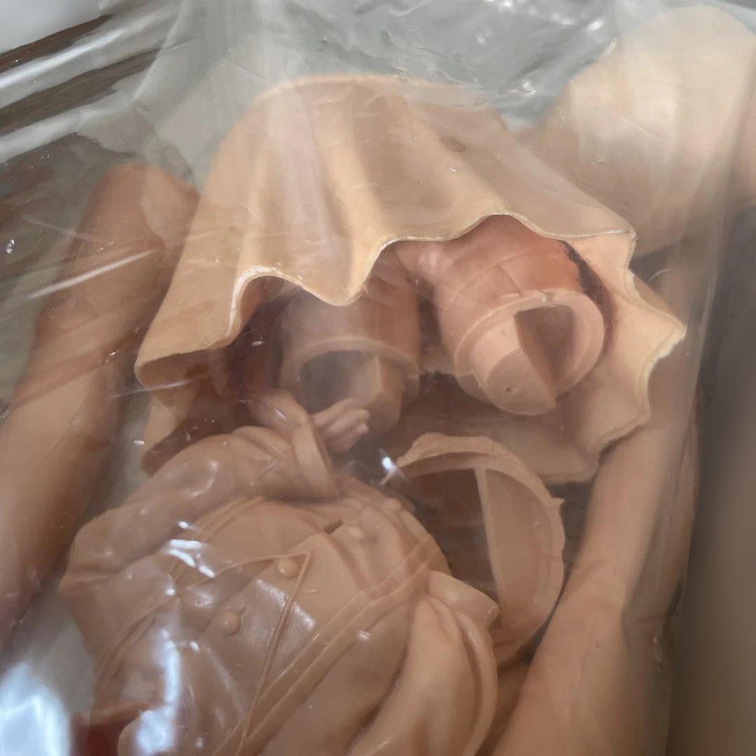 EVe イヴ ガレージキット 未組立 樹脂製 外箱難あり. Ln437