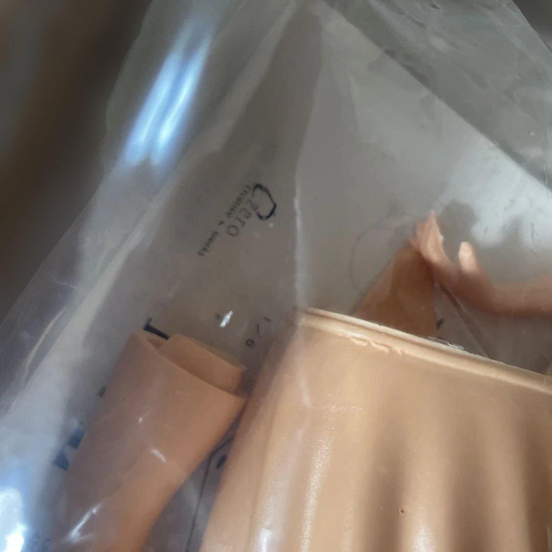 EVe イヴ ガレージキット 未組立 樹脂製 外箱難あり. Ln437