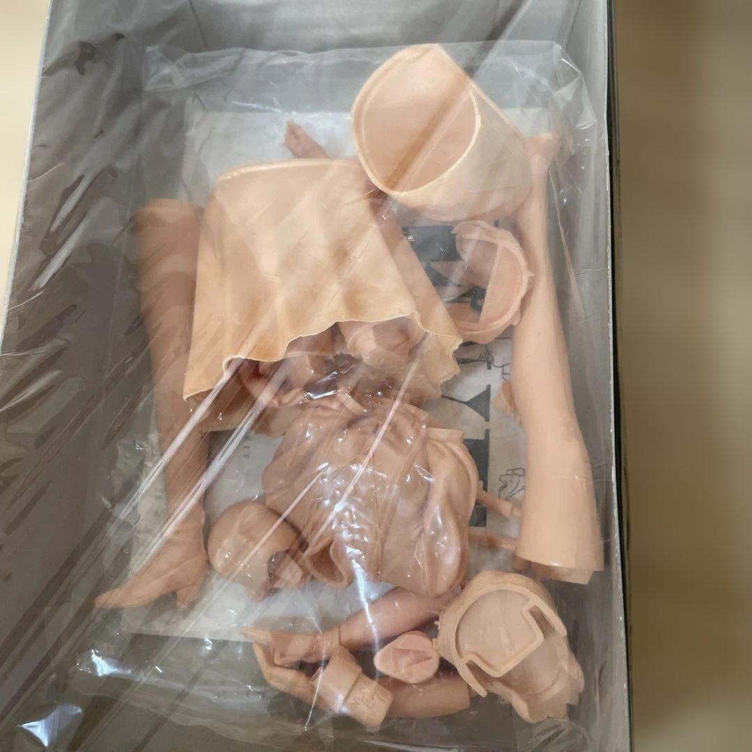 EVe イヴ ガレージキット 未組立 樹脂製 外箱難あり. Ln437