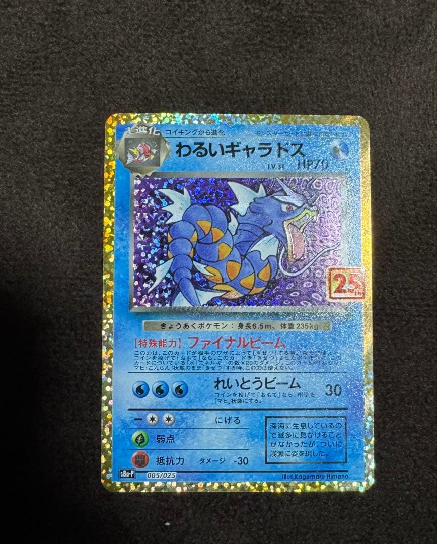 わるいギャラドス　旧裏、25th 、25th英語版3枚セット