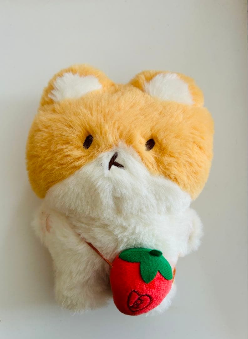 EXO ベッキョン　トレギ　ぬいぐるみ　20cm