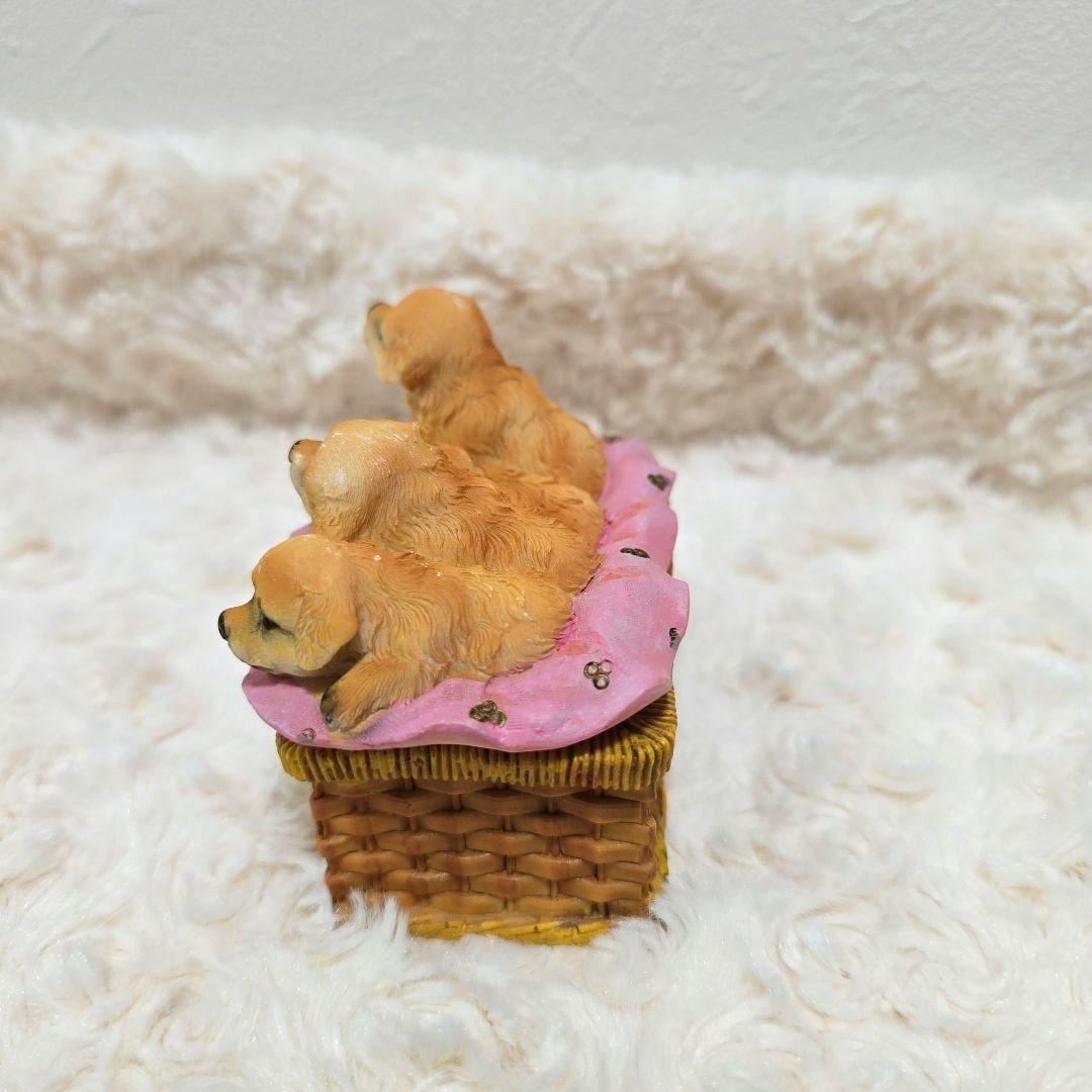 新品 かわいい子犬 小物入れ 外箱あり