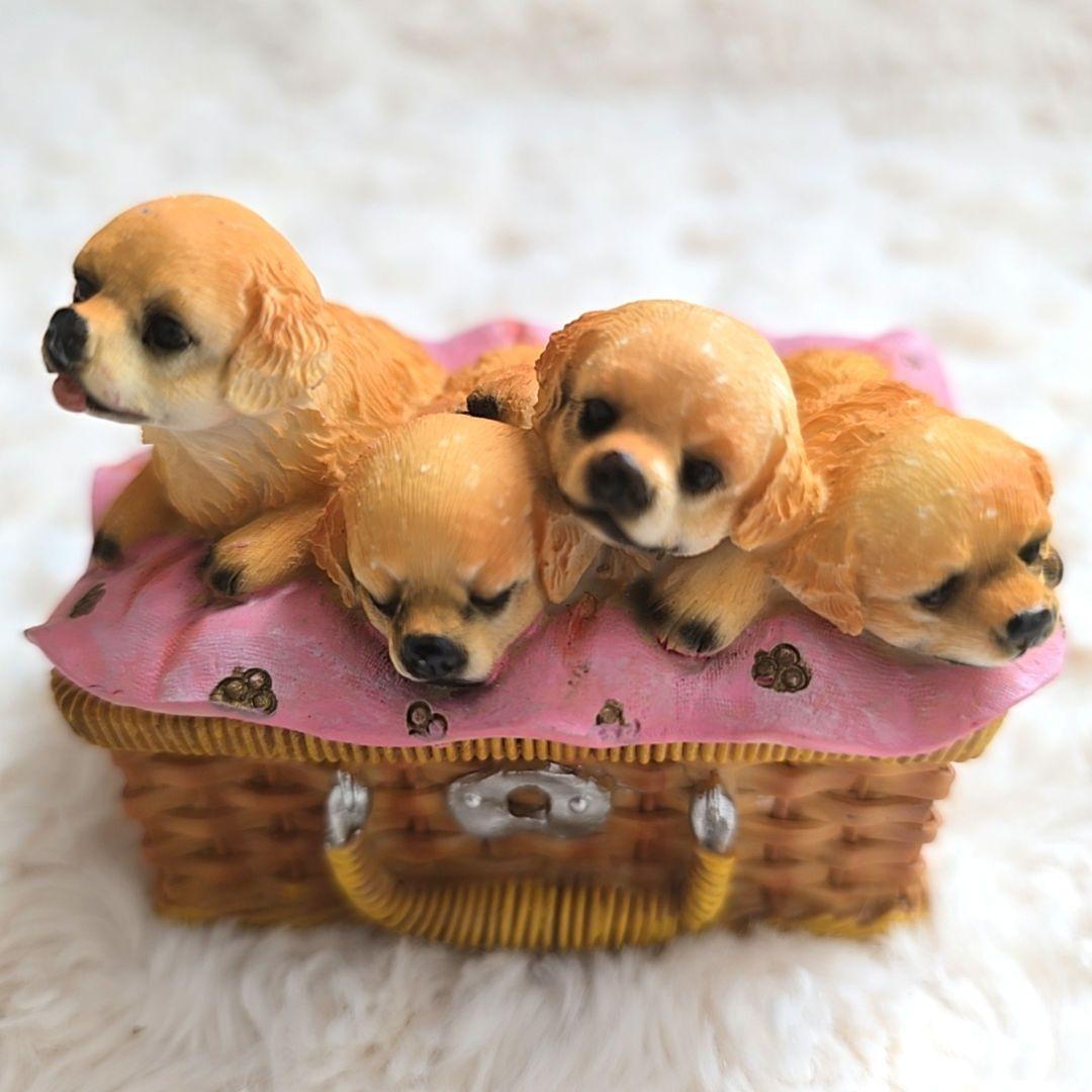 新品 かわいい子犬 小物入れ 外箱あり