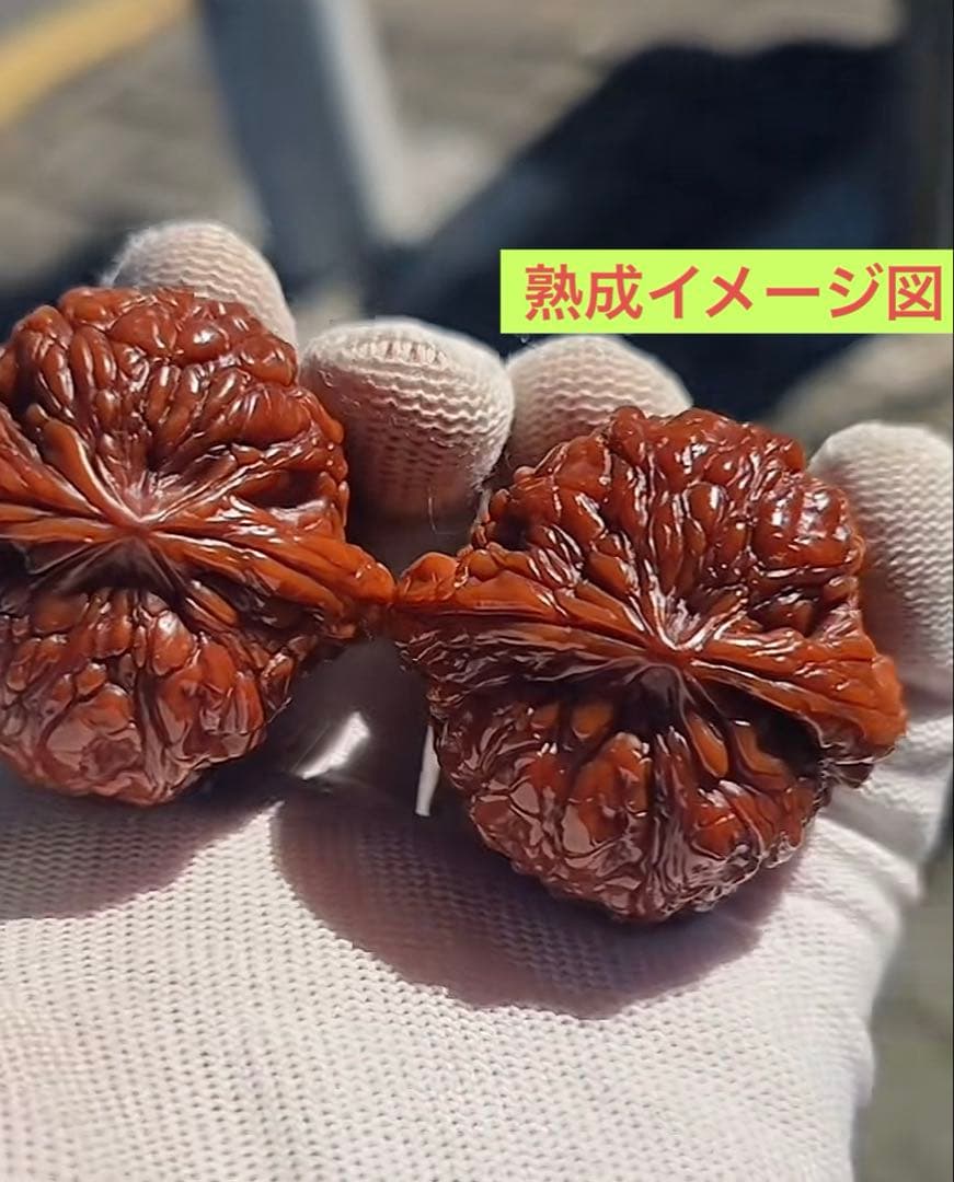 No.534 ❤️遊ぶクルミ　文玩核桃 高級小衆精配满肉平谷大闷墩ビッグサイズ